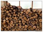 tas de bois marqué